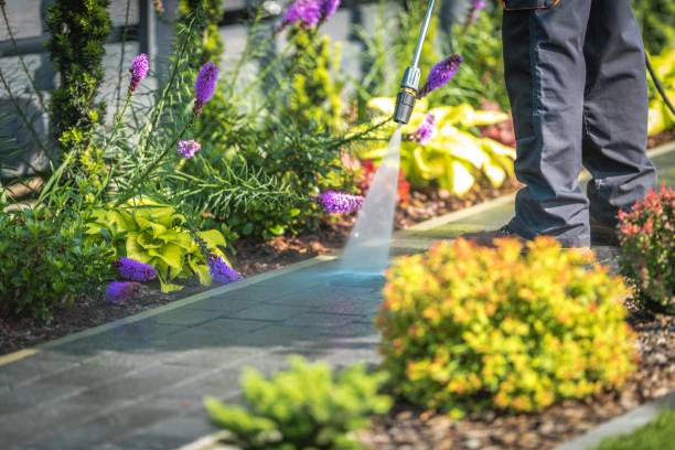 Trusted Roosevelt, NJ Pressure Washing Services Experts